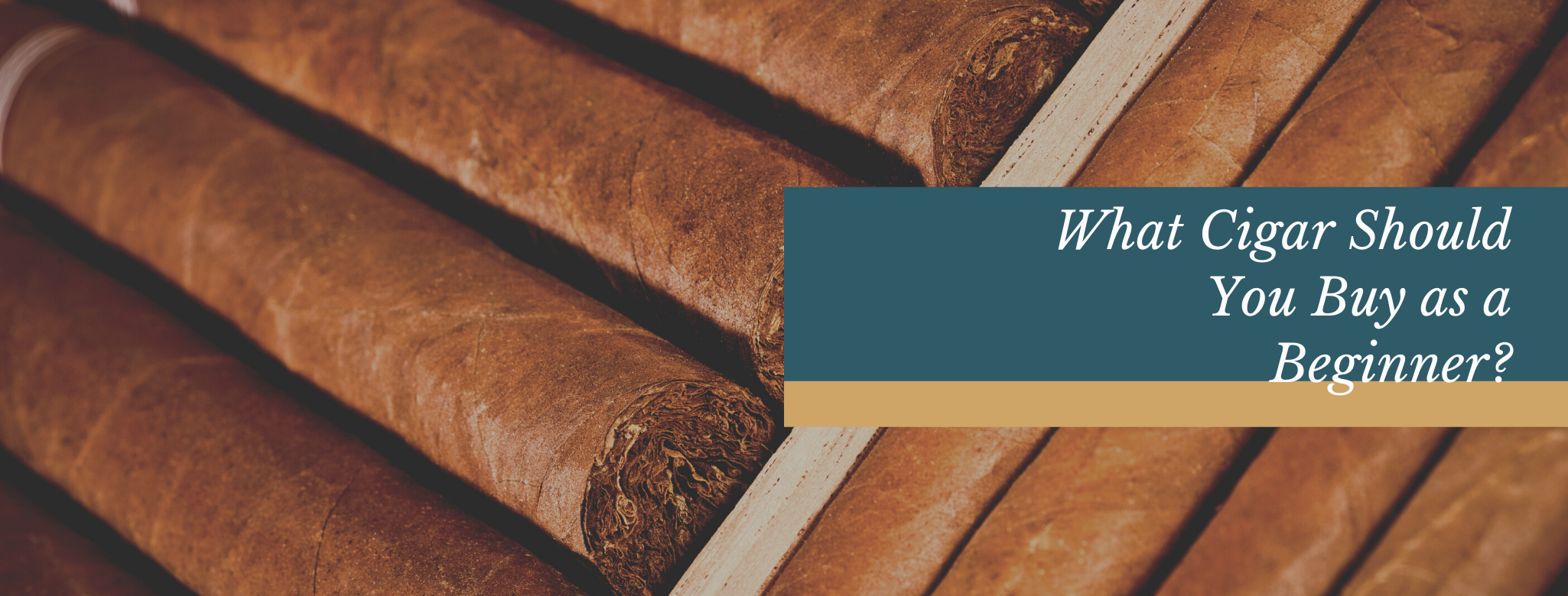 Reads: What Cigar Should You Buy as  a Beginner?