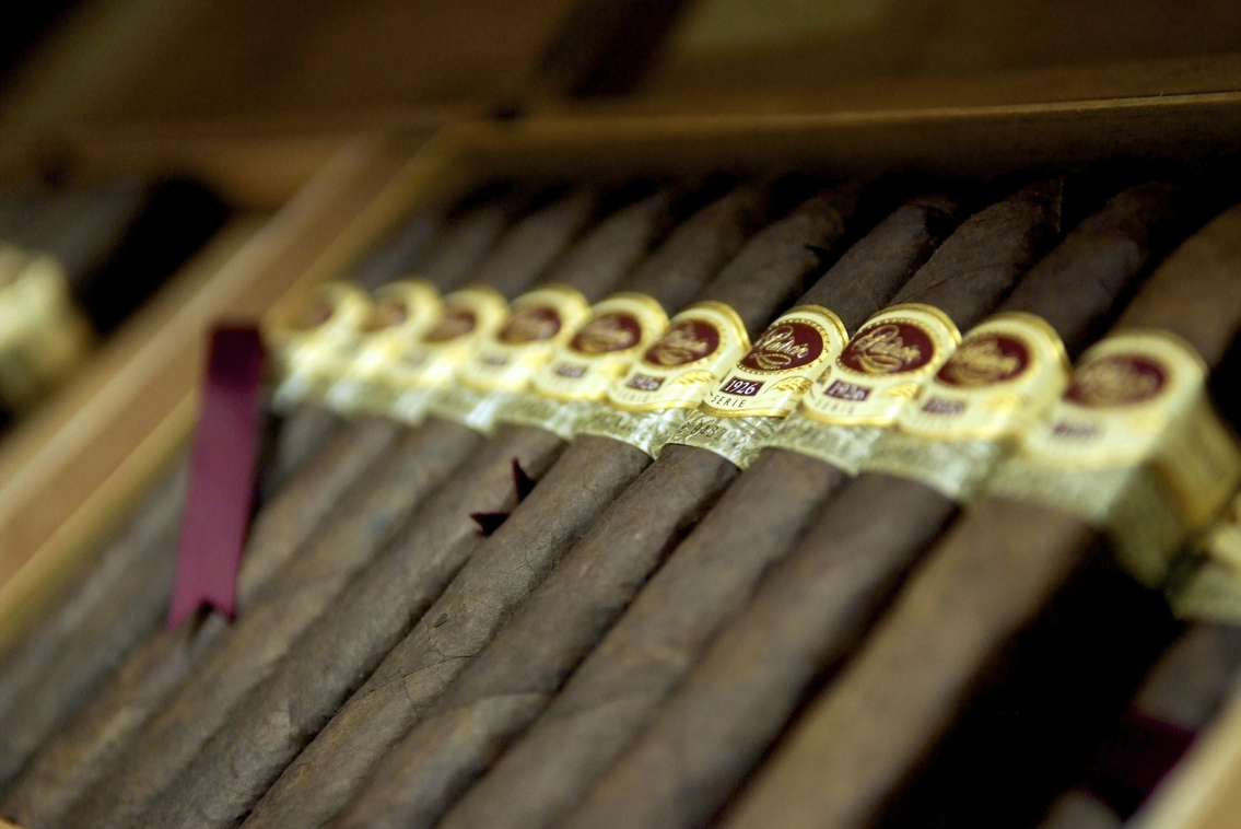 Cigars lined up in a humidor